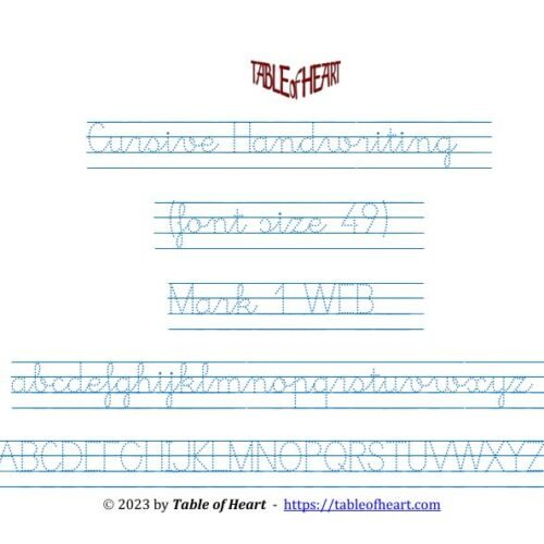 Mark 01 WEB - Cursive Handwriting Dotted - font size 49